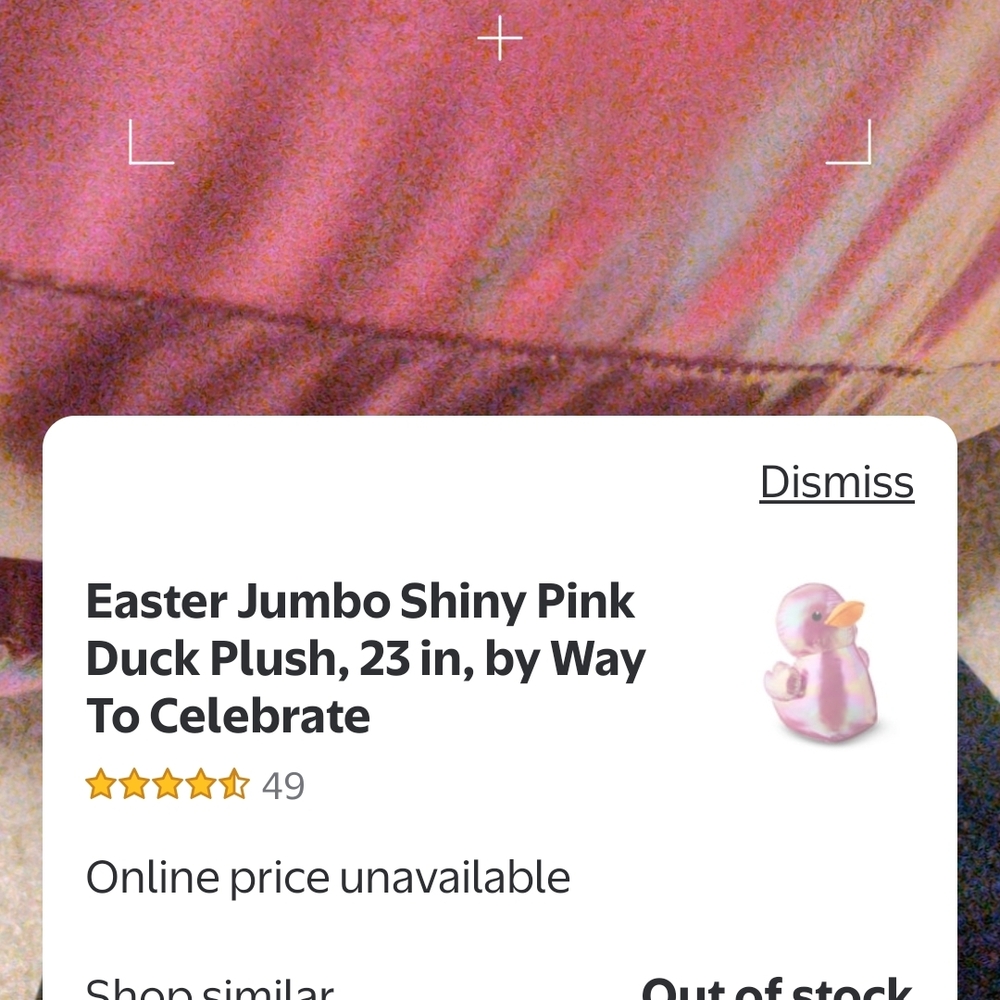 Pink Inflatable Duck Plush - Picture 4 of 4